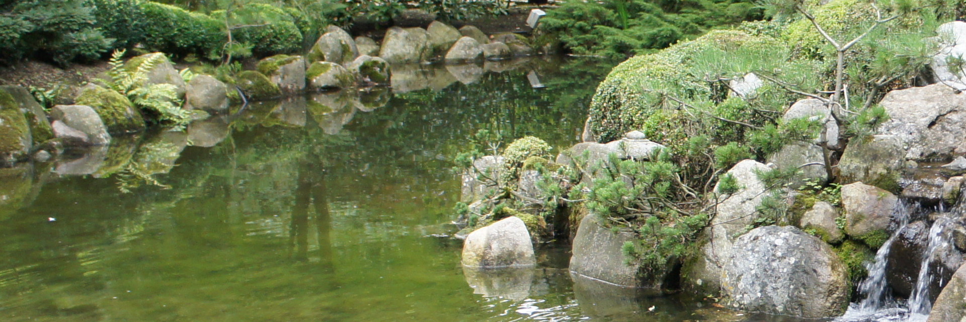 Top Banner Image, Body Psychotherapy - Shefali Sharma Therapy