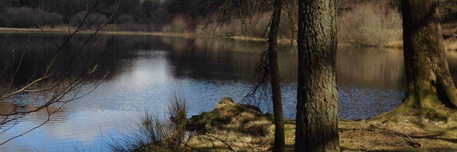 Home PageTop Banner Image, Therapy For A Calmer Mind - Shefali Sharma Therapy