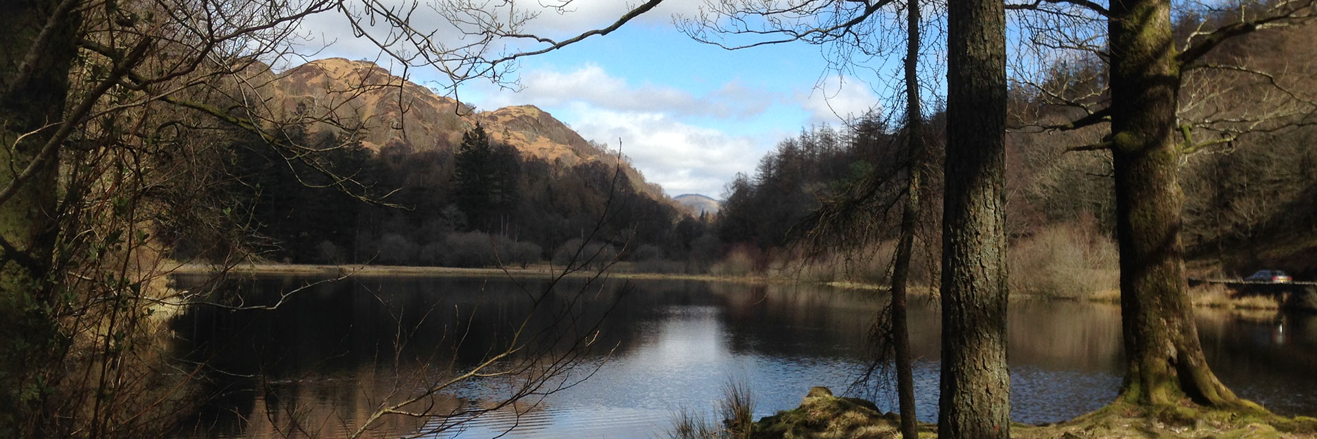 Top Banner Image, Contact for Initial Consultation - Shefali Sharma Therapy